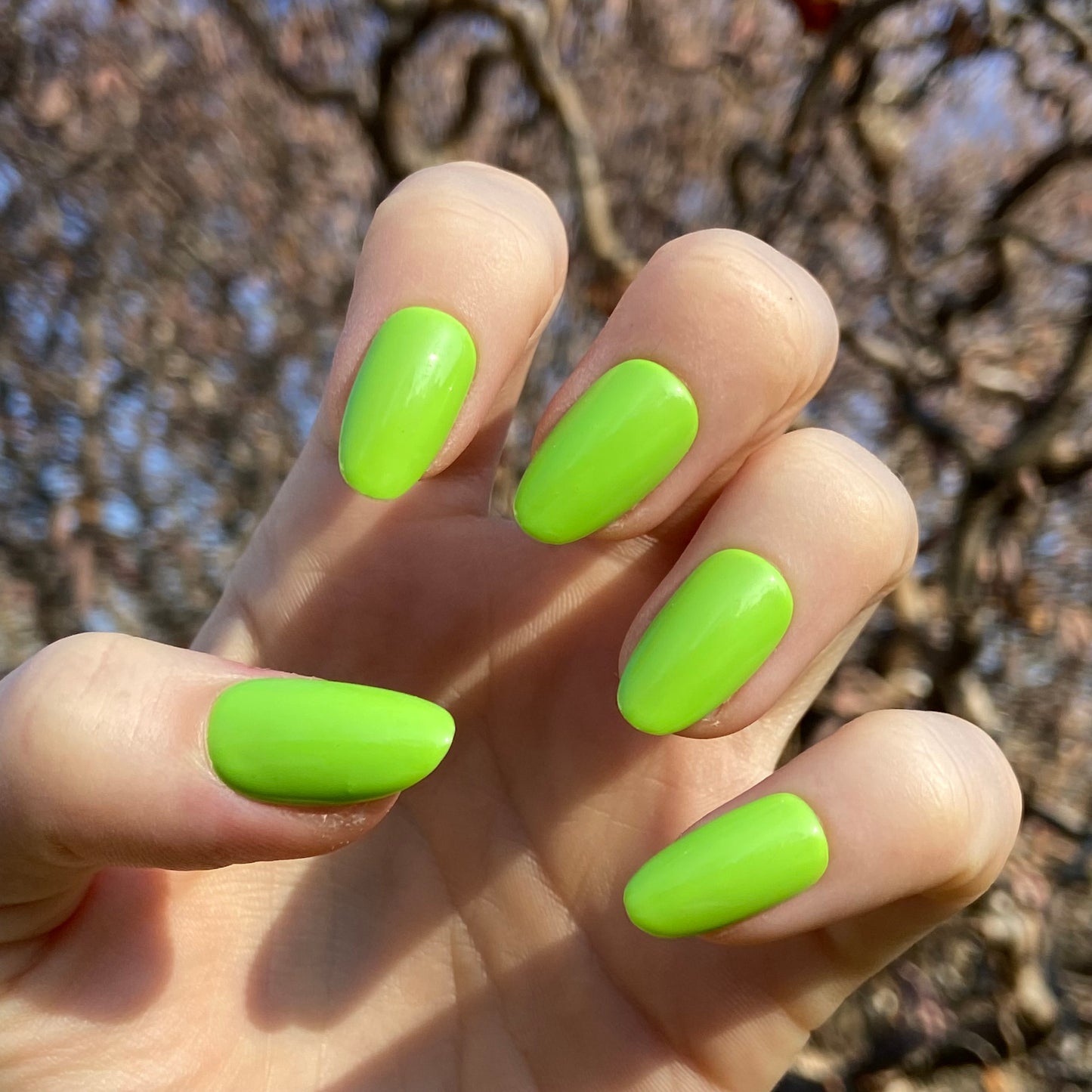 BRAT GREEN