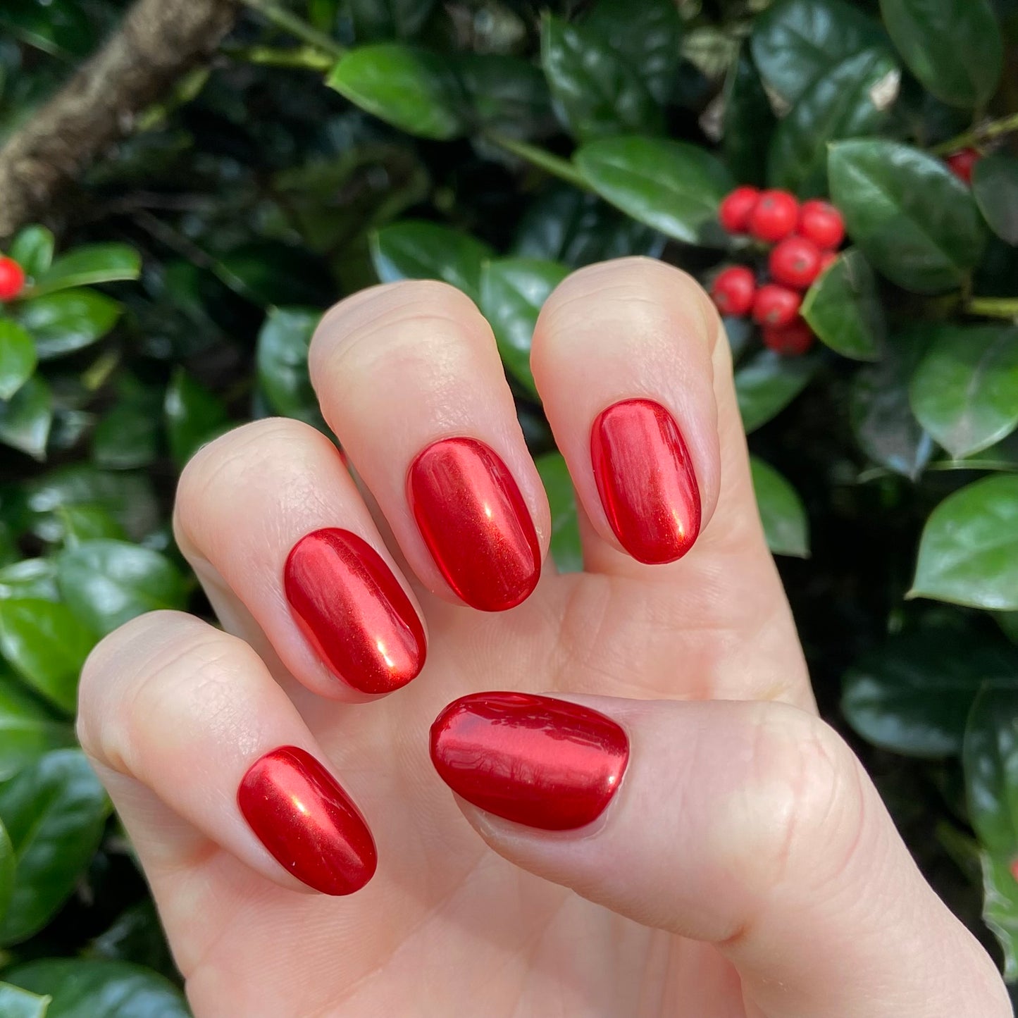 HOLLY BERRY