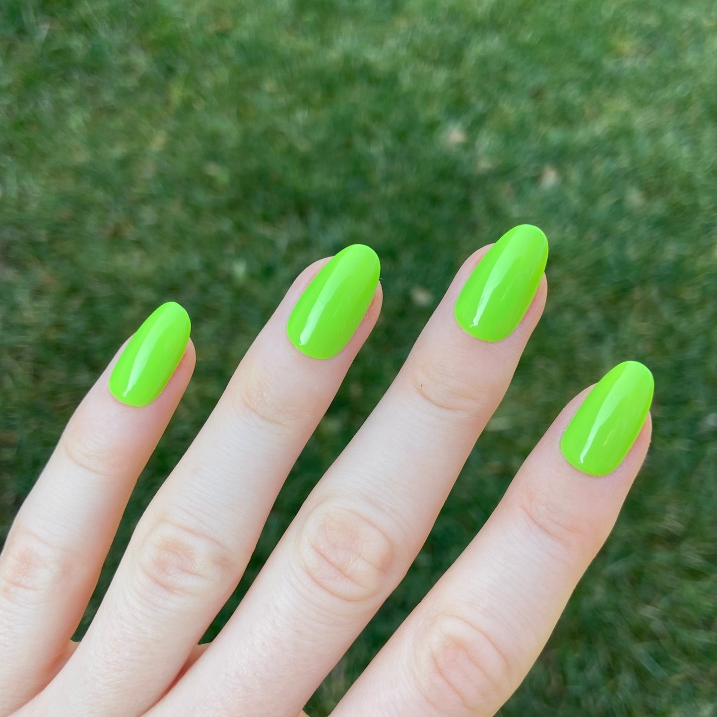BRAT GREEN