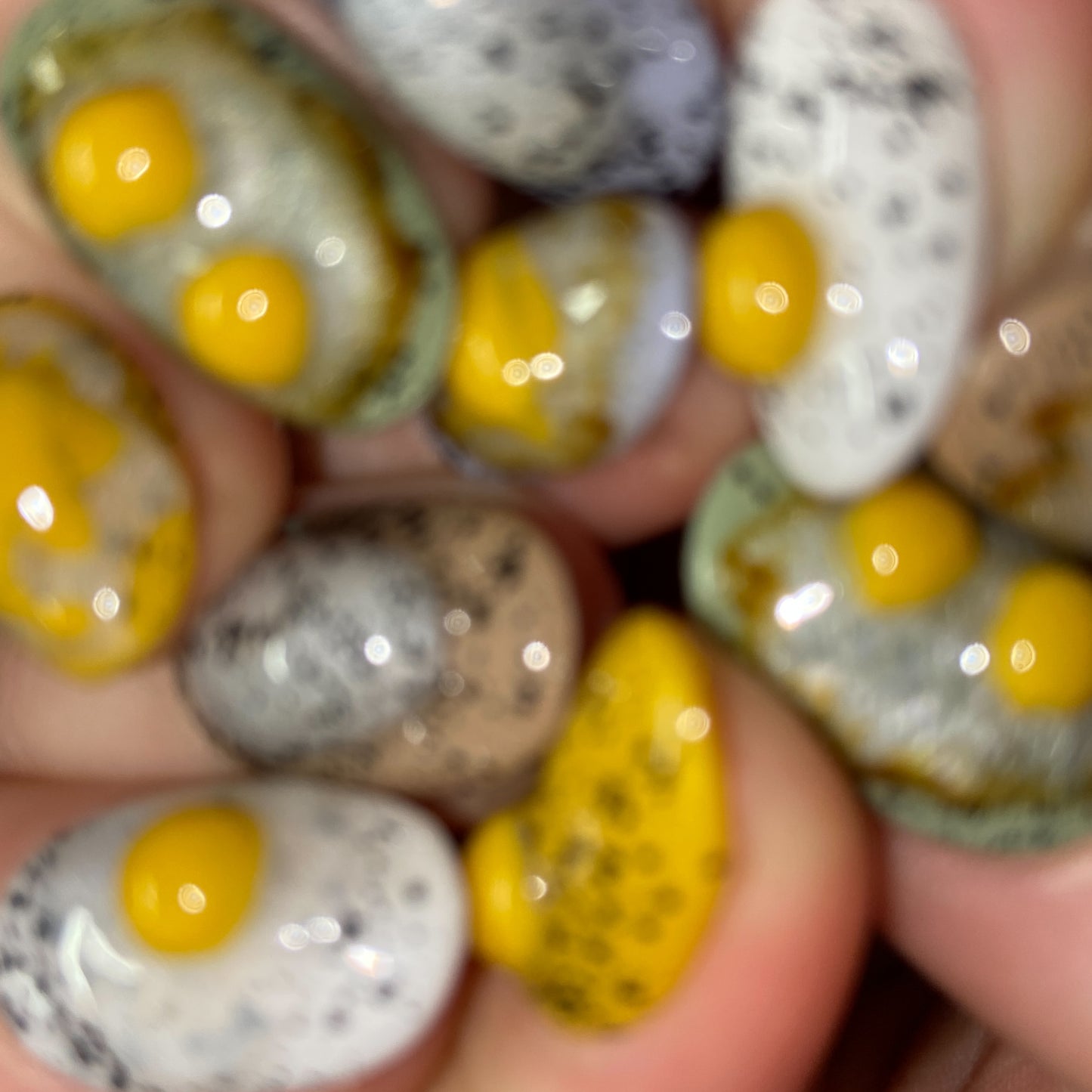 SUNNY SIDE UP