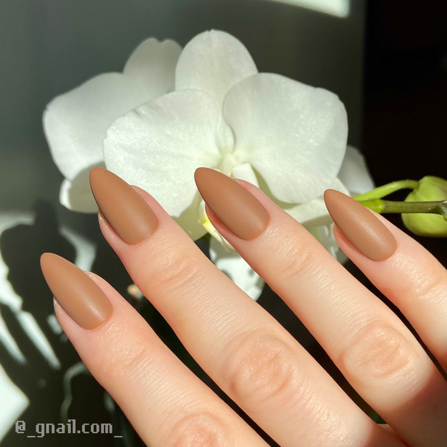 ALMOND MOM
