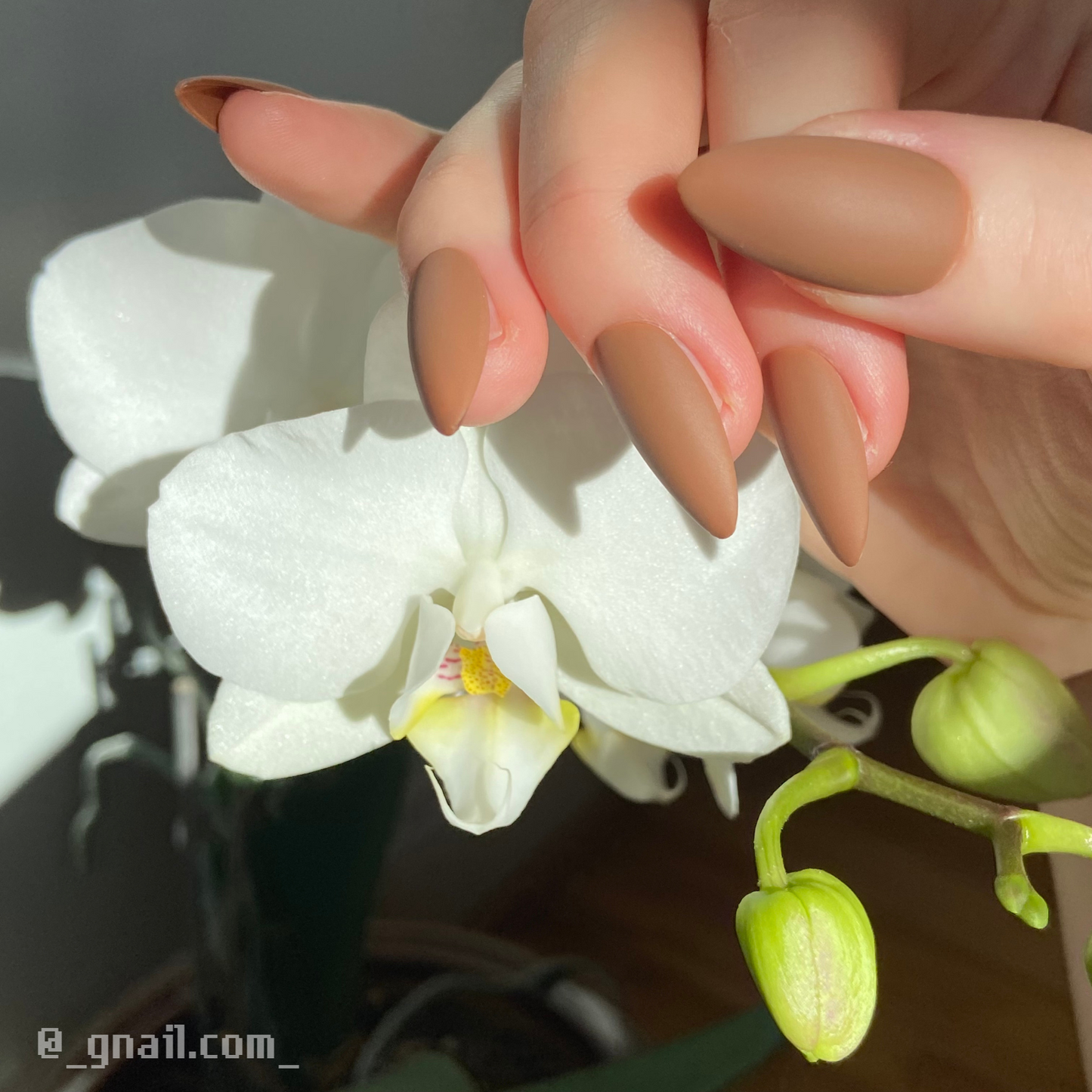 ALMOND MOM