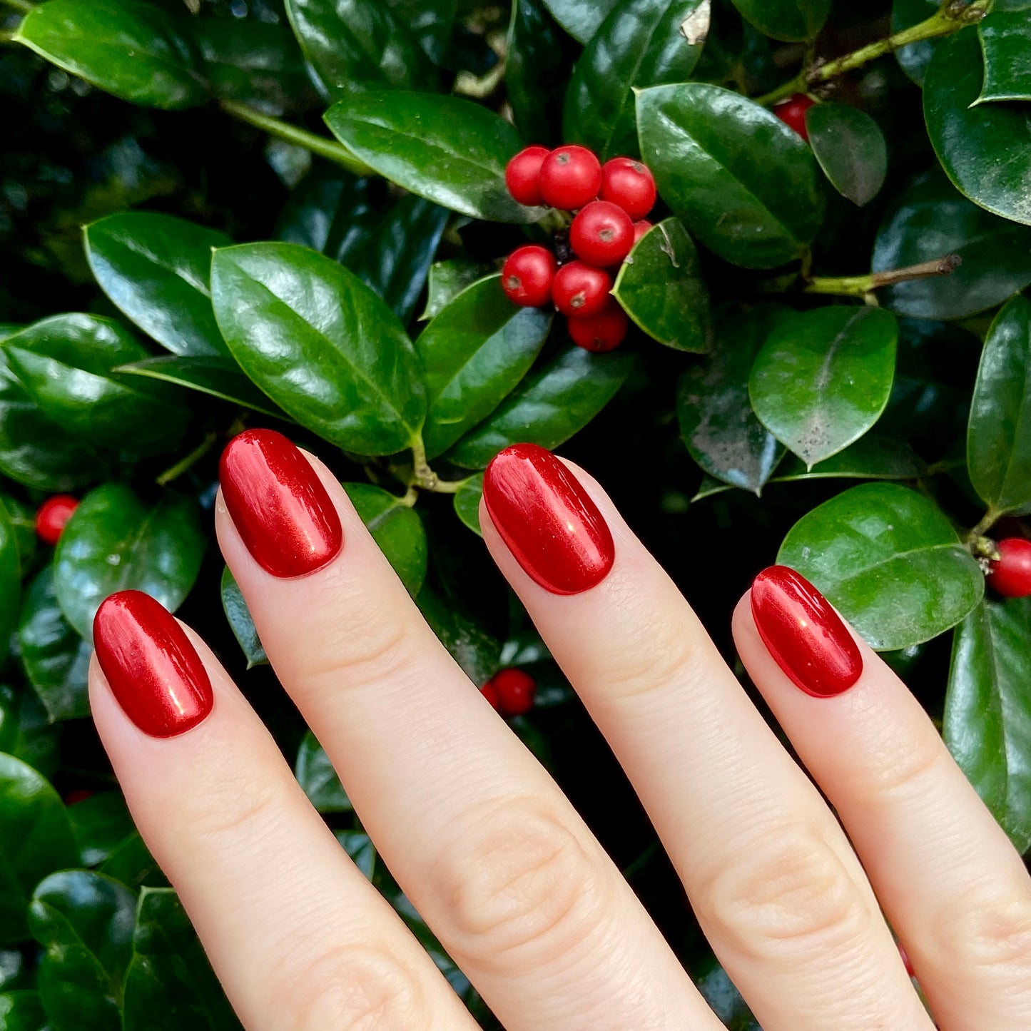 HOLLY BERRY