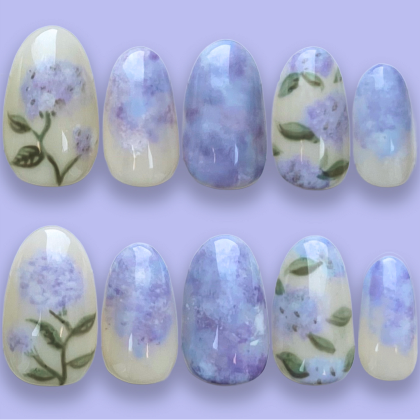 HYDRANGEA