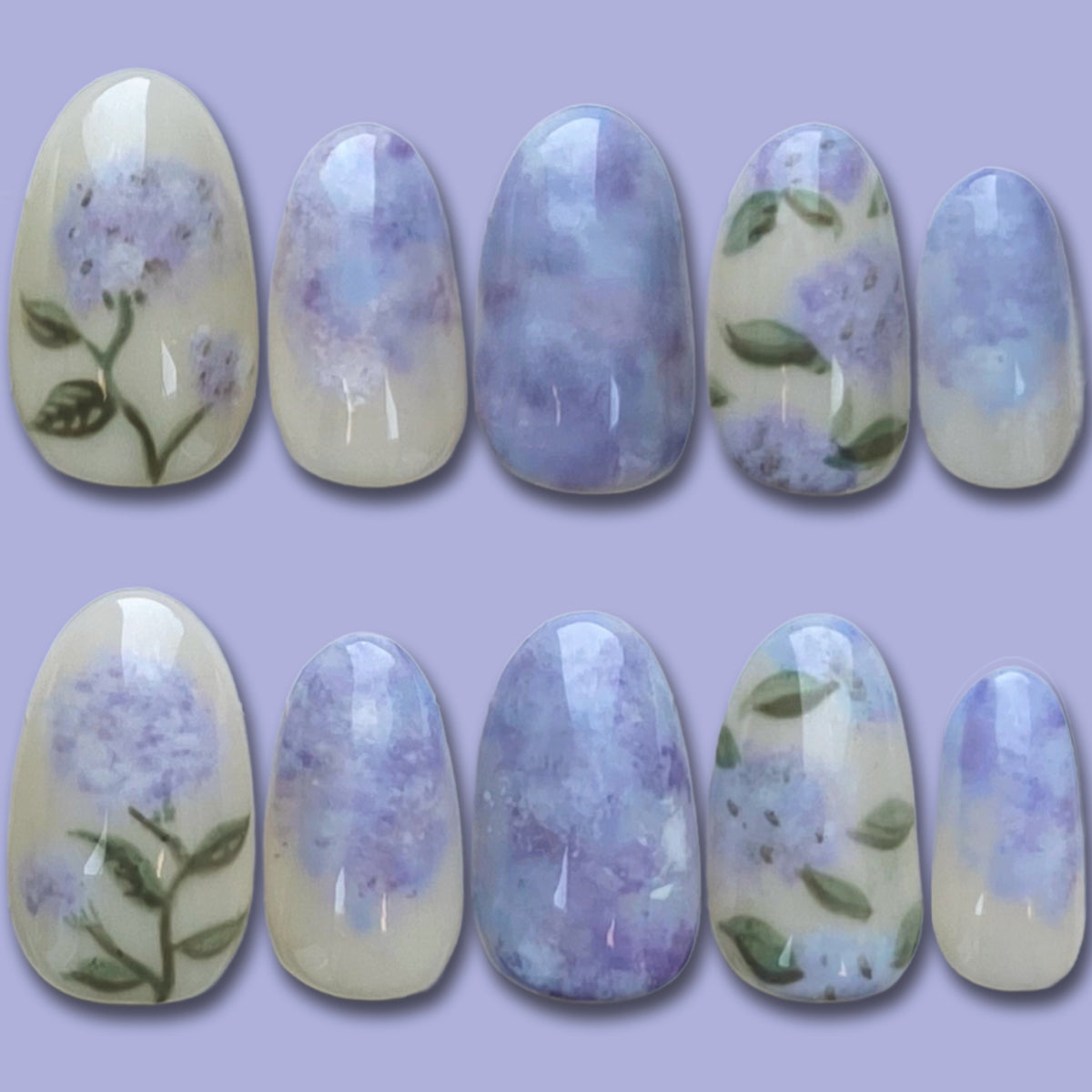 HYDRANGEA