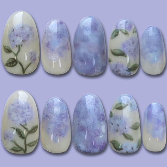 HYDRANGEA
