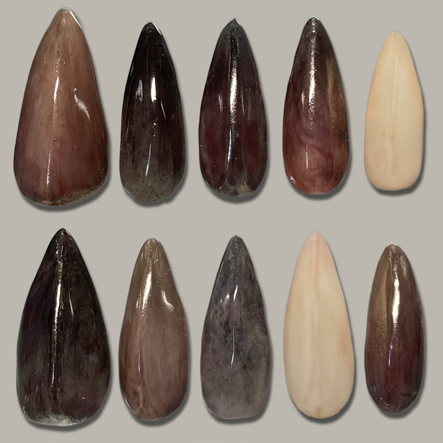 STONE CLAW